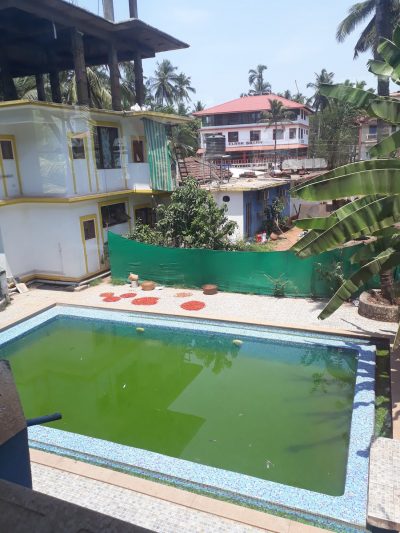 Dirty Pool Goa