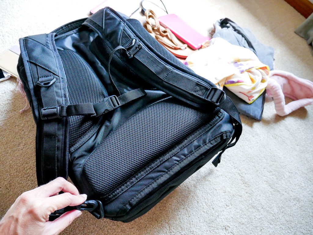 Review of the eBags Professional Slim Laptop Backpack
