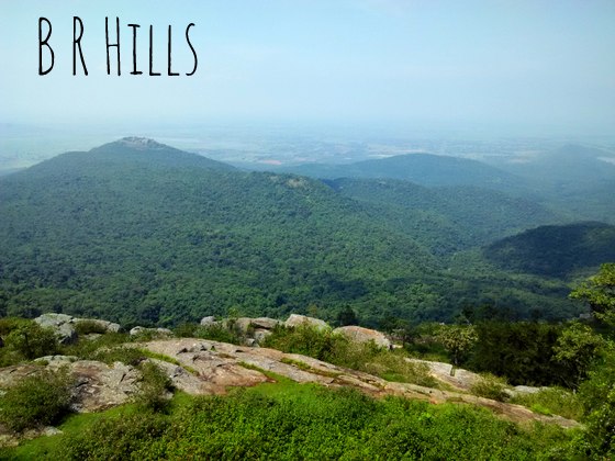 Where to Stay in BR Hills | Exploring with Gorukana