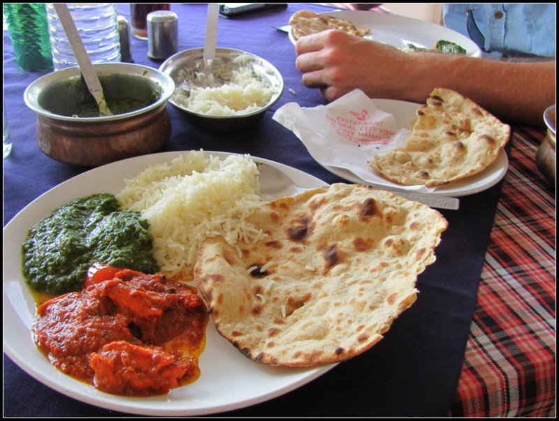 udaipur india food backpacking india budget