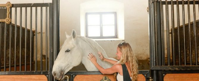 Lipica Horse Farm