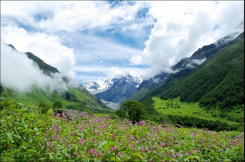backpacking india seasons guide valley of the flowers