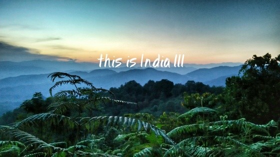 This is India! 111